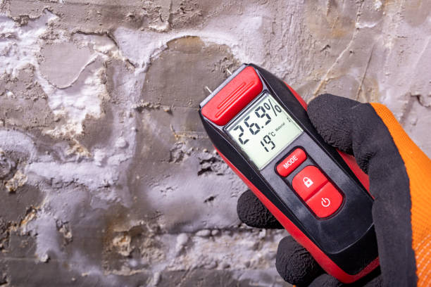 Mold Removal Process in Ravenna, OH