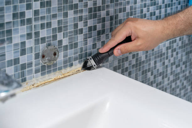 Best Mold Inspection  in Ravenna, OH